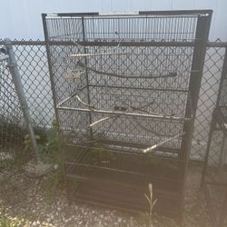 Birds Cage 