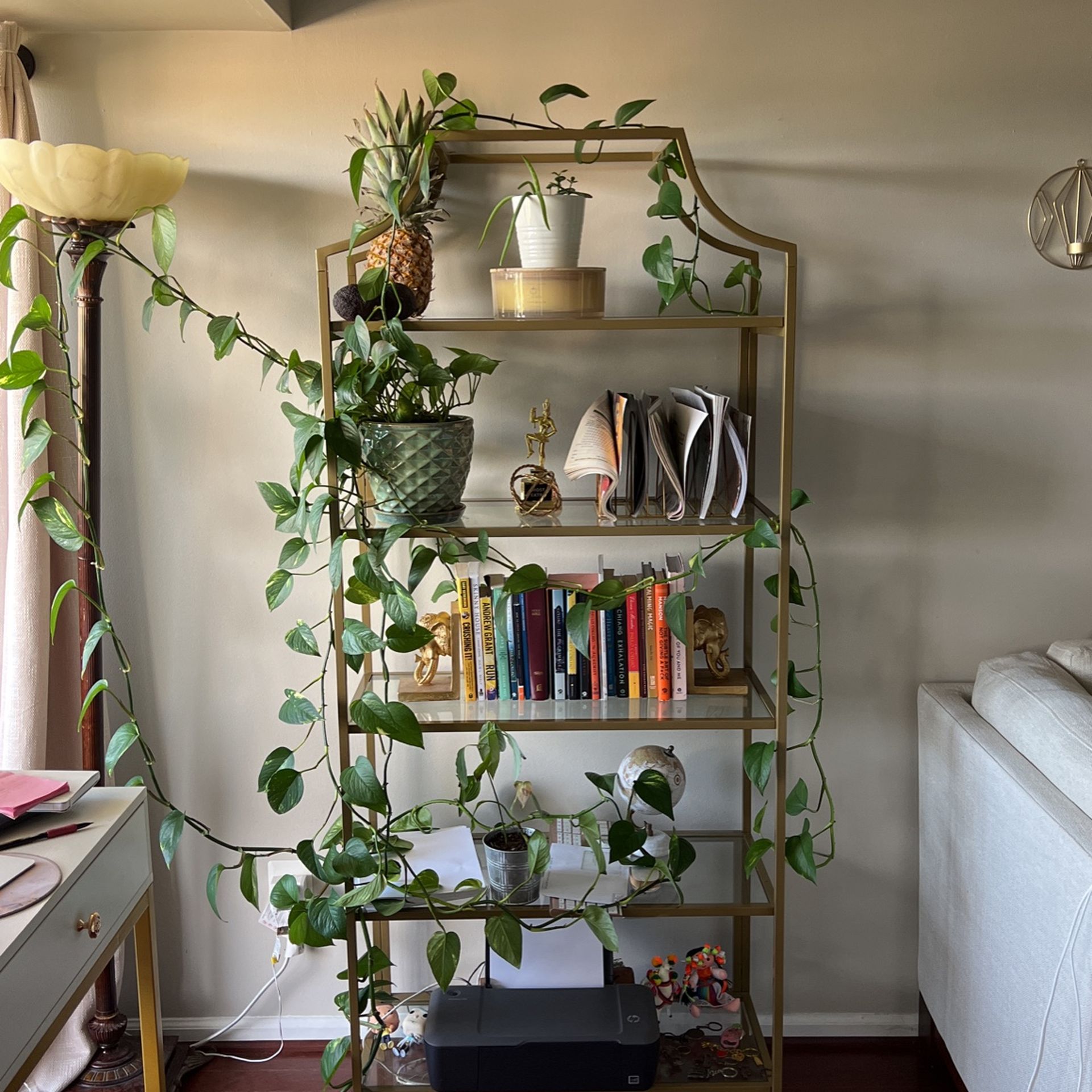 gold and glass bookshelf