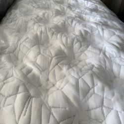 Twin Xl Bed Mattress King Koil Intimate Medium Firm Euro Top Aireloom Kluft Hotel Collection Saatva Avocado Purple Tempurpedic Beautyrest Black World 