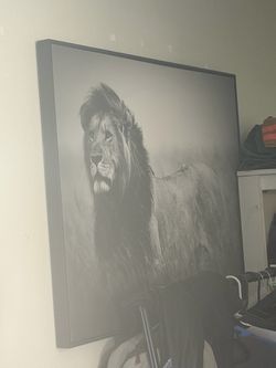 Animal canvas hanging pictures $30 all three