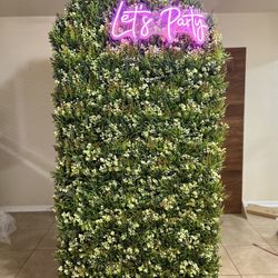 Party Decoration Any Ocasión 