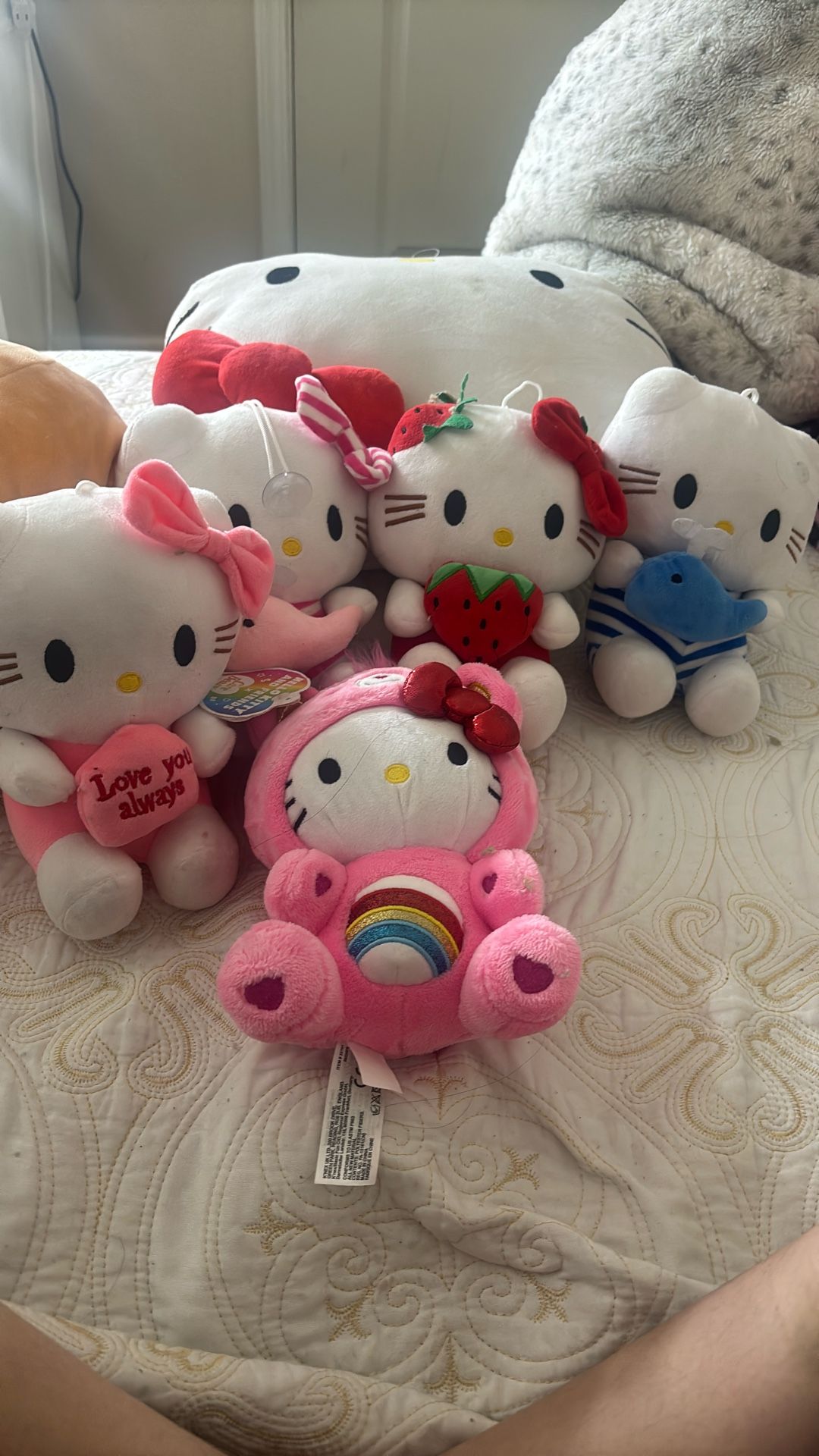 Hello Kitty Plushies 10$ Each The Carebare Is. 20