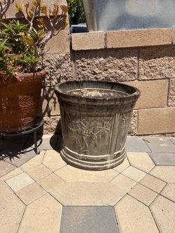 Pot