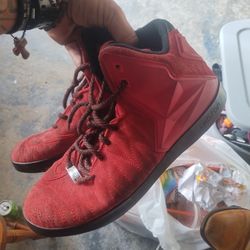 Lebron James Xi Nsw Size 9.5