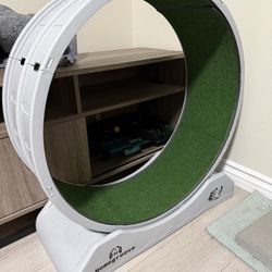 Cat Wheel Treadmill