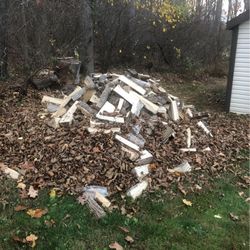 Spit Seasoned Firewood 