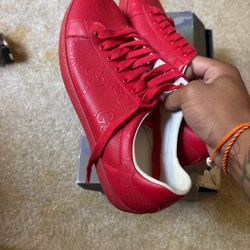Gucci shoes