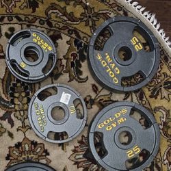 Golds GYM Cast Iron Weights