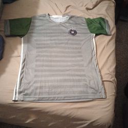 Deutschland Jersey Gray/Green