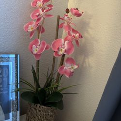 Cheap Household Items 