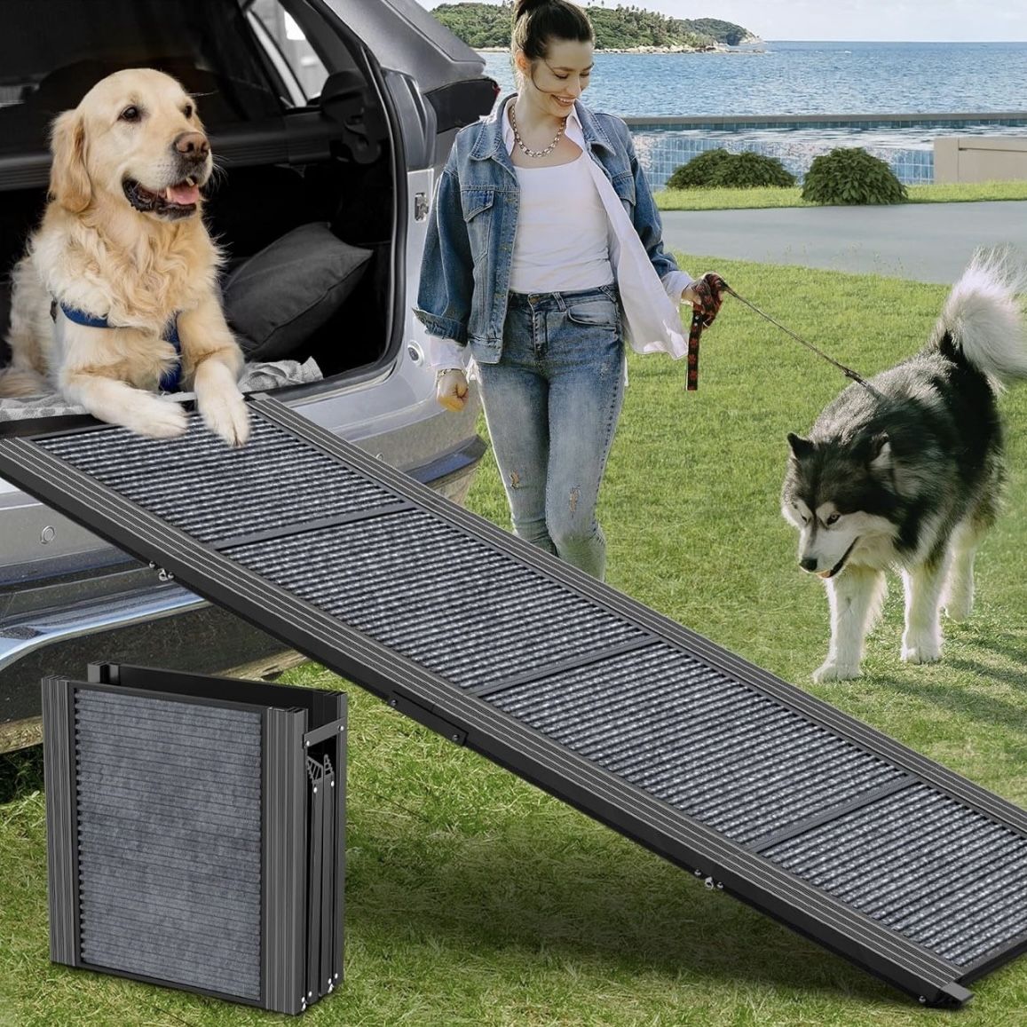Foldable Dog Ramp For Car