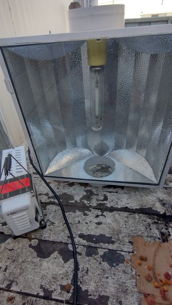 Grow Light
