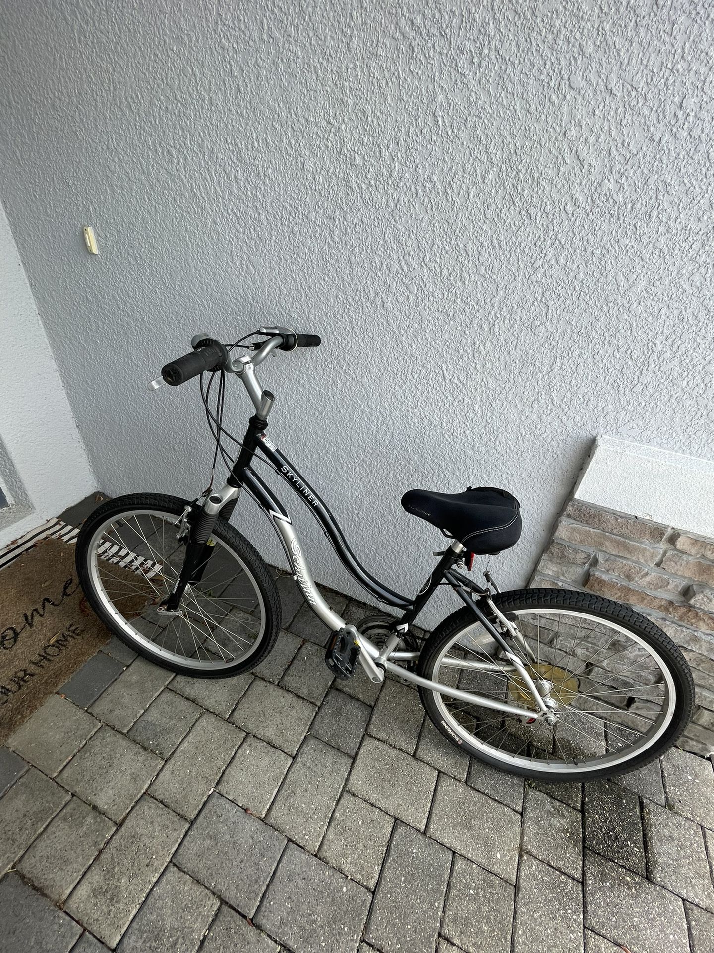 Schwinn Cruiser   