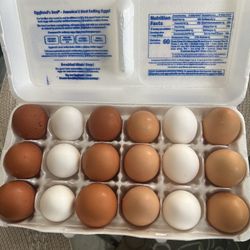 Eggs