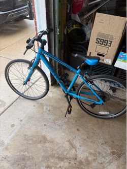 Giant Escape jr kids bike