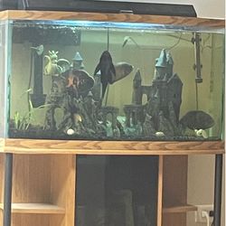 48 Gallon Bow Front And All Accessories 