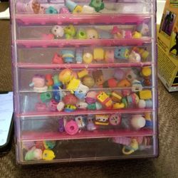 Shopkins With Caring Case