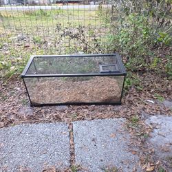 20 Gallon Tank 
