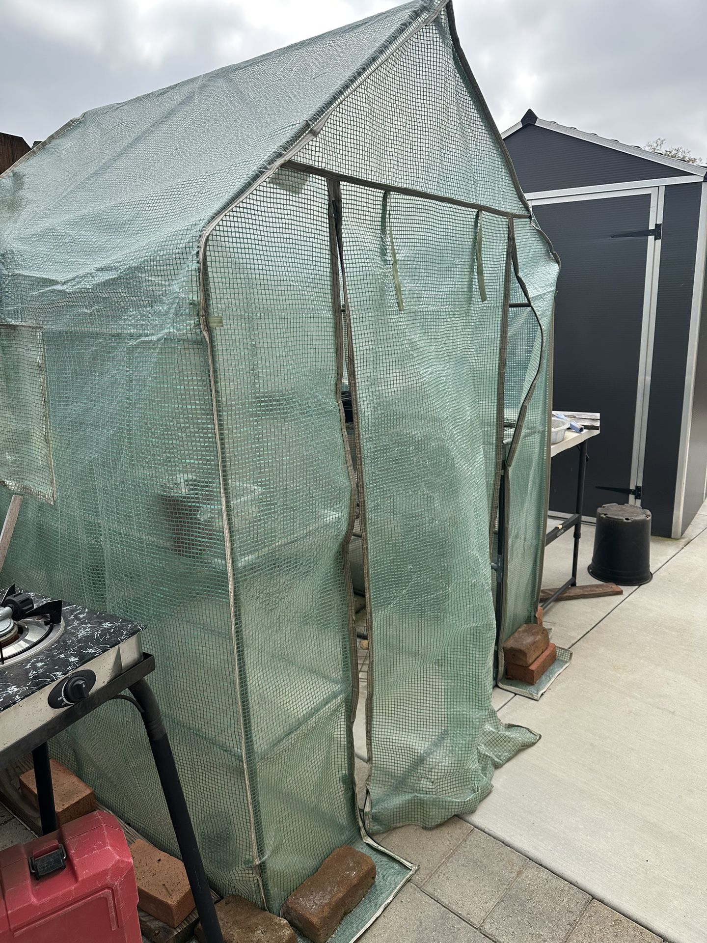 Green House For Plants