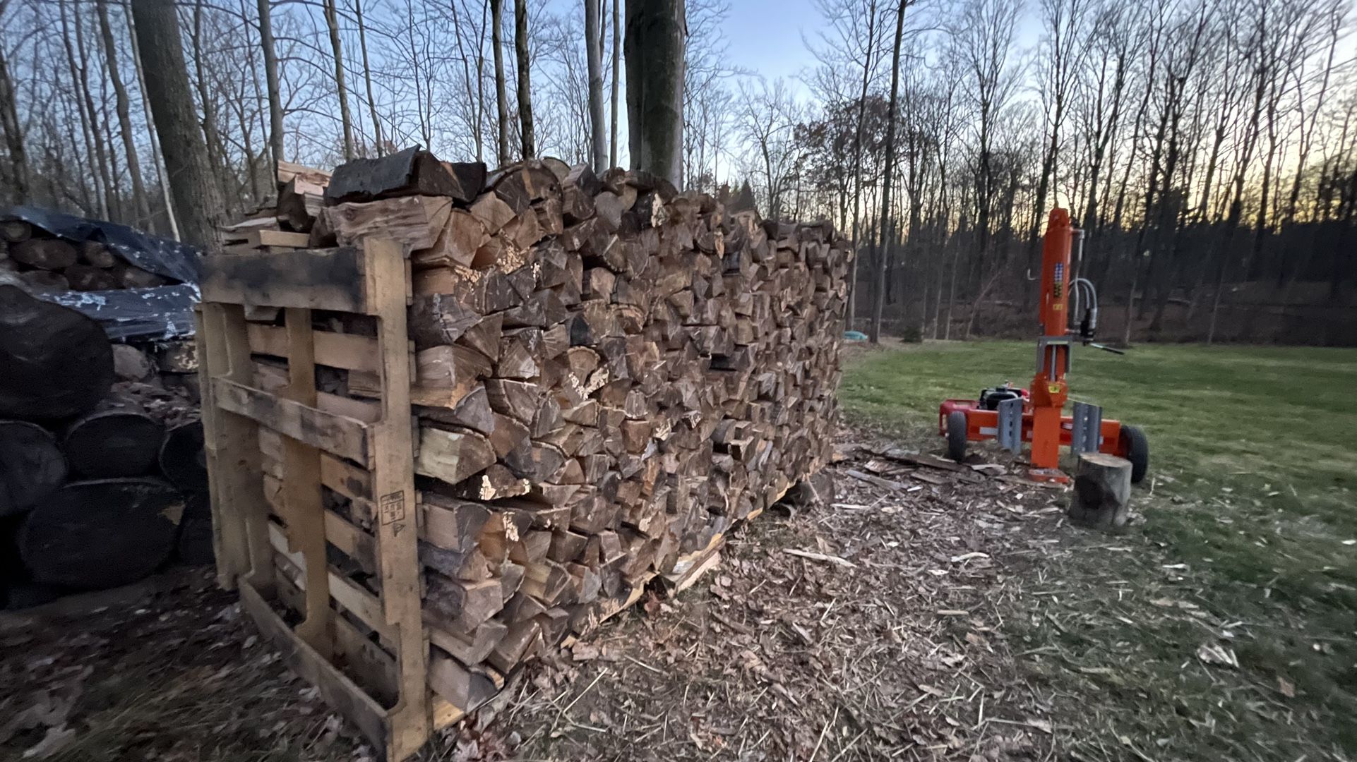Seasoned Firewood - 1 Full Cord