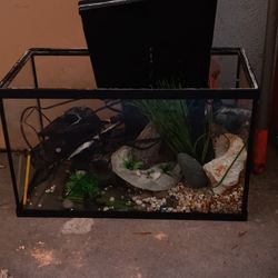 Fish Tank