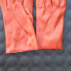  Gloves 10 in. Pvc