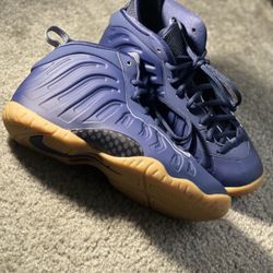 NIKE FOAMPOSITE 5.5 New