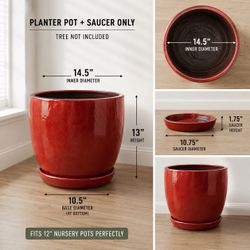 🚨 PLANTER POT + MATCHING SAUCER ONLY — TREE NOT INCLUDED 🚨