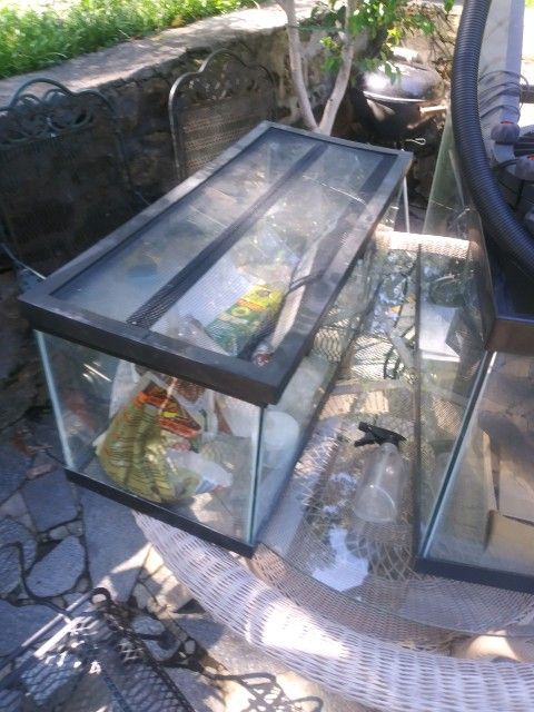 2 Fish Aquariums with filters and lights