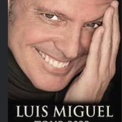 Ticket for the concert of the International singer LUIS MIGUEL
