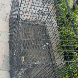CAGE DOG 
