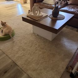 Coffee Table With The Carpet 