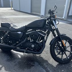2020 Harley Davidson 883 Iron