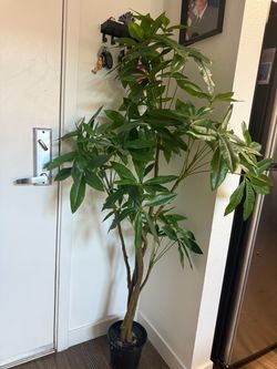 Large Artificial Money Tree Plant