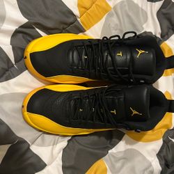 Jordan 12 