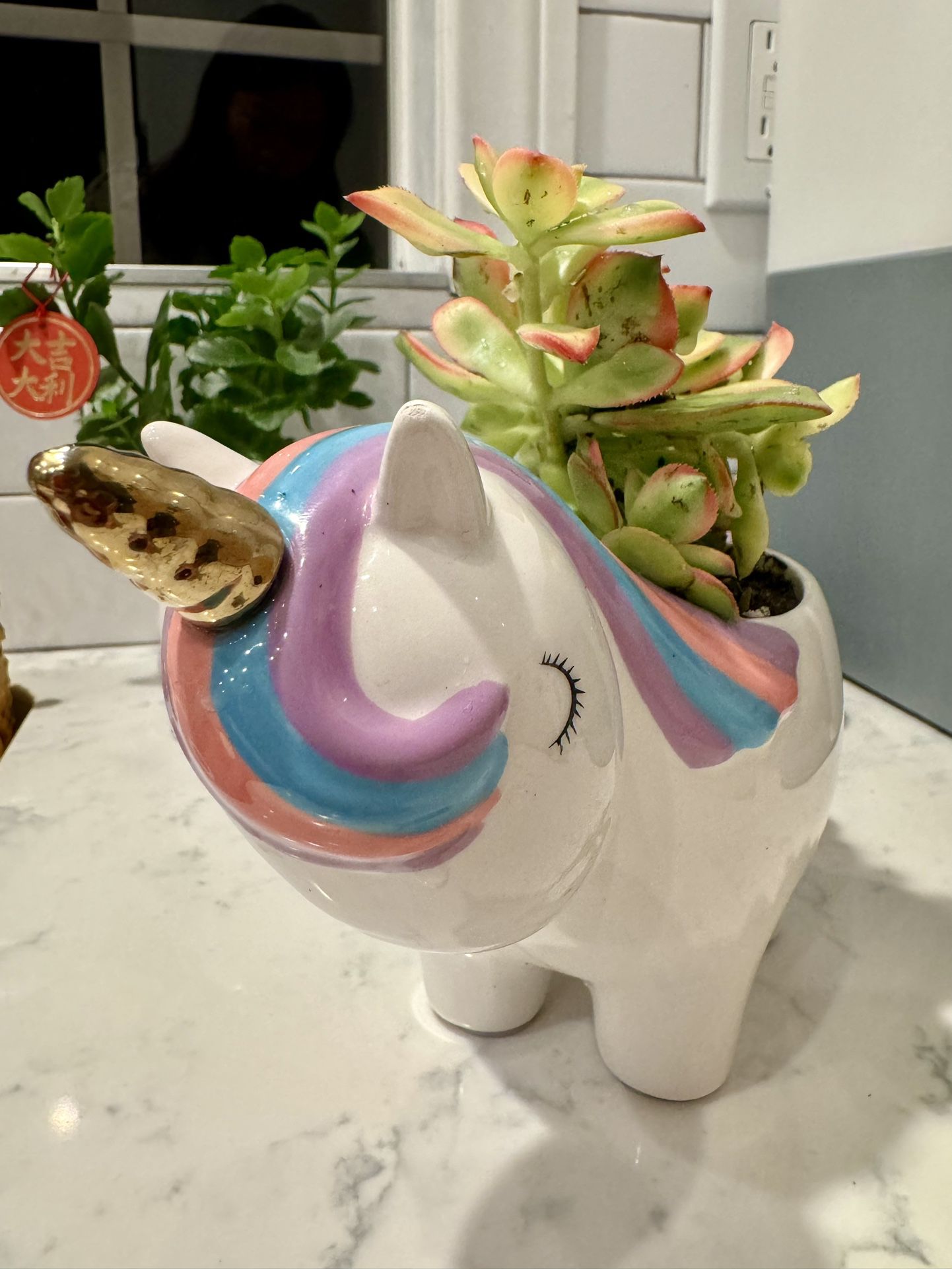 🦄  Unicorn Planter With Succulent Bundle , Plant Included!! 