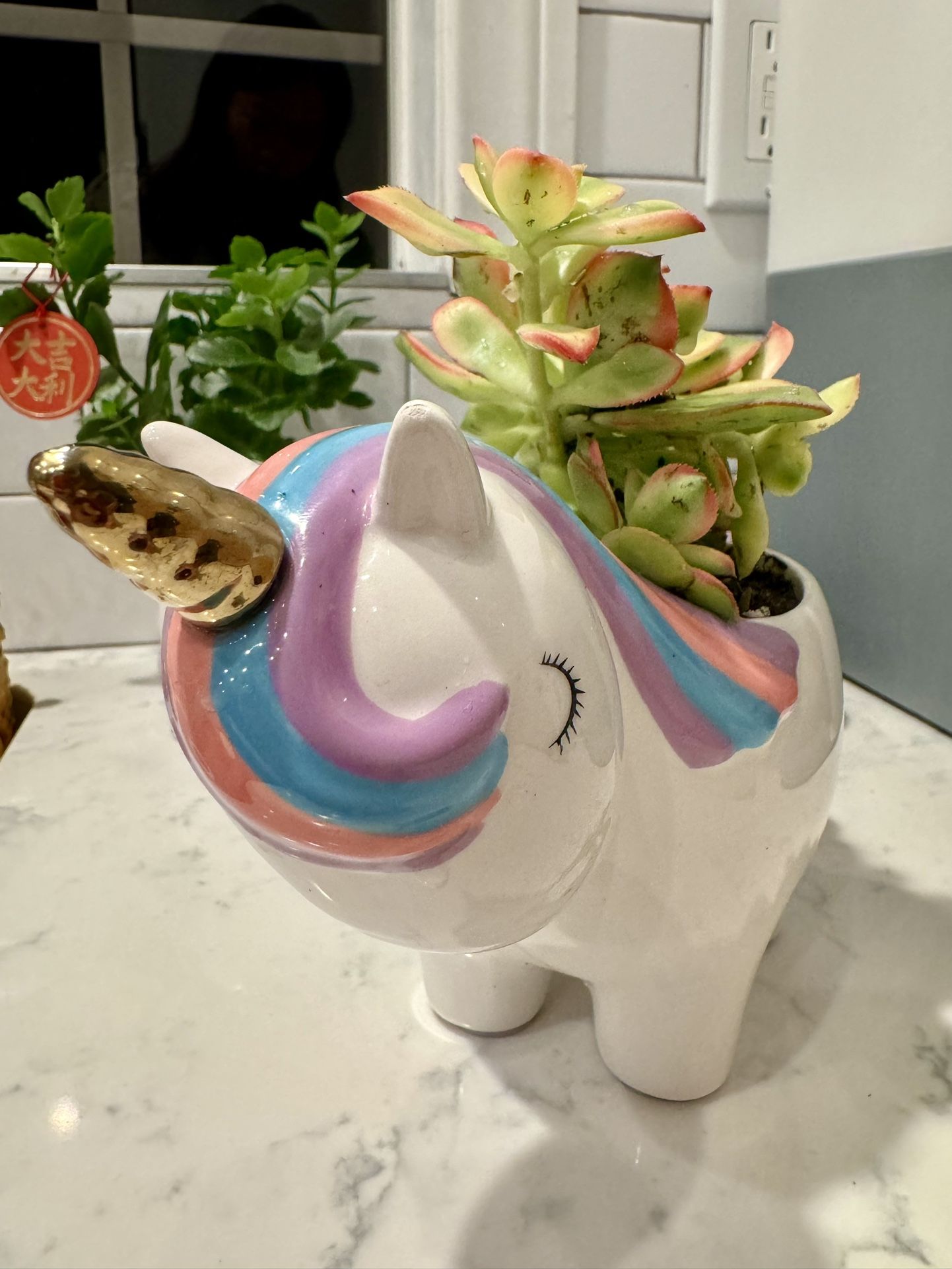 🦄 Unicorn Planter With Succulent Bundle , Plant Included!!