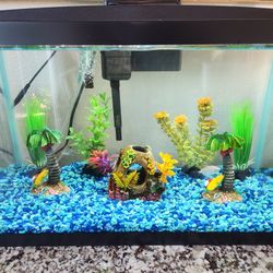 Fish tank 10 Gallon
