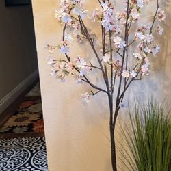 Cherry Tree