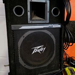 Two Pevey High Performance Speakers