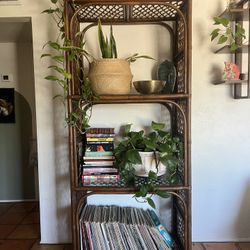 Rattan Book Shelf