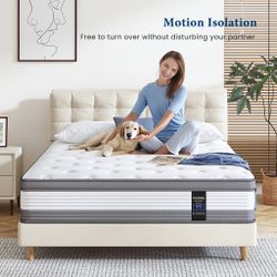 Brand New Mattresses And Box Springs