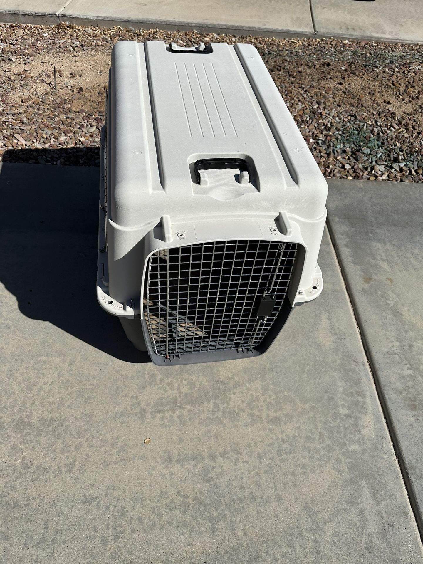 Dog Kennel 
