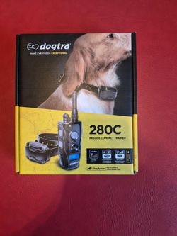 Training  for dogs
