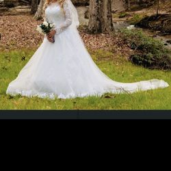 Bridal Gown With Tiara And Veil And Earrings 