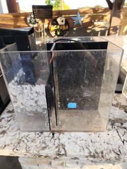 Saltwater tank sump