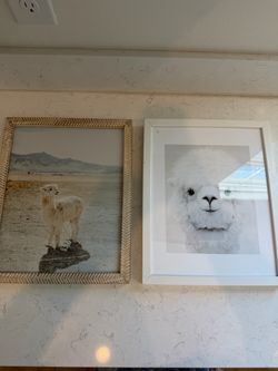 Set of framed artwork