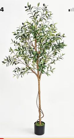 Unique 6' Faux Olive Tree with Twisted Vines On Trunk. Realistic Branches, Leaves and Fruits.