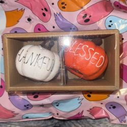 Thankful And Blessed Salt And Pepper Shakers NIB