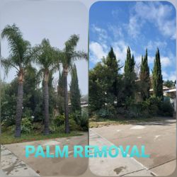 Stump grinding messge, tree messge